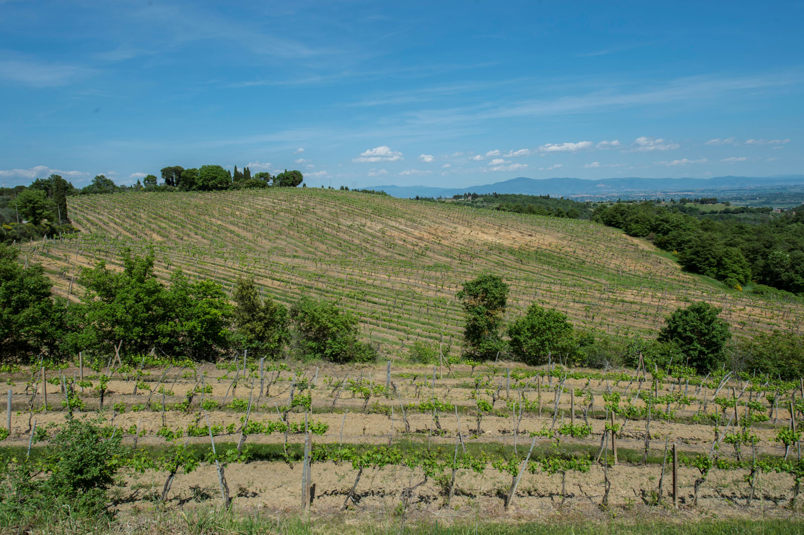 VAL DI CHIANA LUXURY ITALIAN PROPERTY FOR SALE, REAL ESTATE FOR SALE IN VAL DI CHIANA