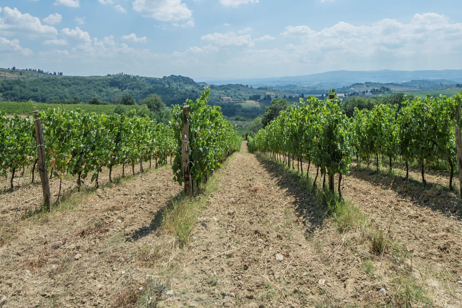 CHIANTI HILLS IN TUSCANY, LUXURY ITALIAN PROPERTY FOR SALE | Chiantishire