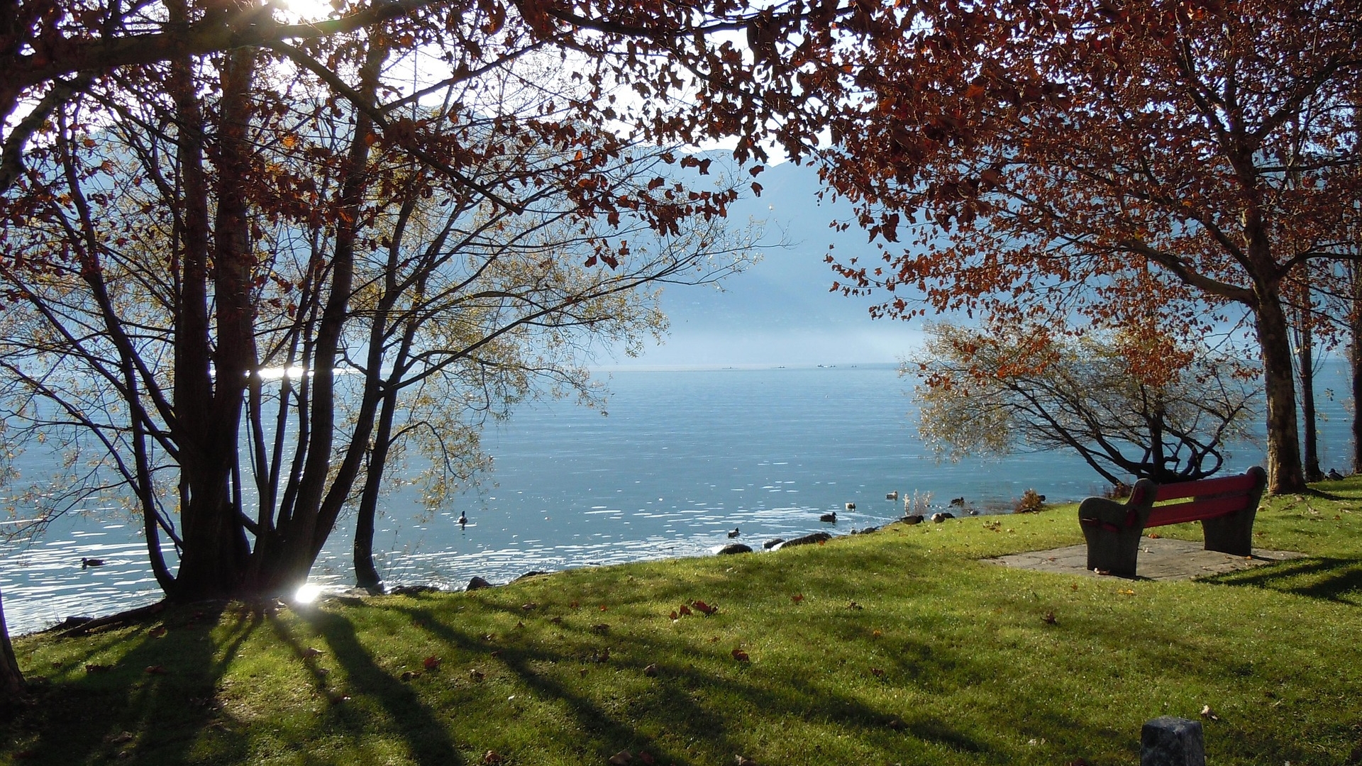 LAKE MAGGIORE - LAKE VIEW VILLAS FOR SALE IN ITALY