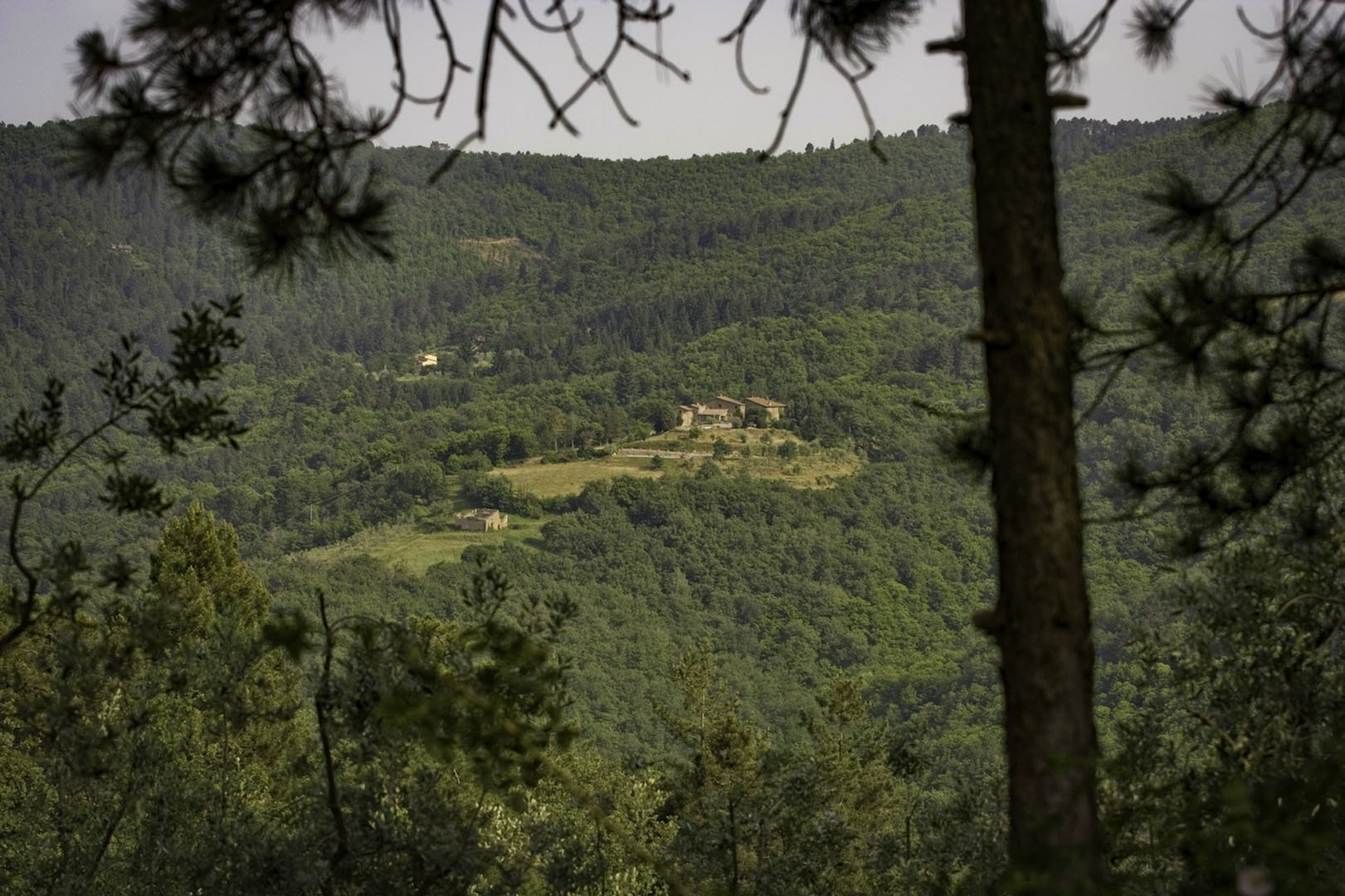 VALDARNO REAL ESTATE FOR SALE, LUXURY ITALIAN PROPERTY FOR SALE IN VALDARNO, VILLAS AND HOUSES FOR SALE IN VALDARNO