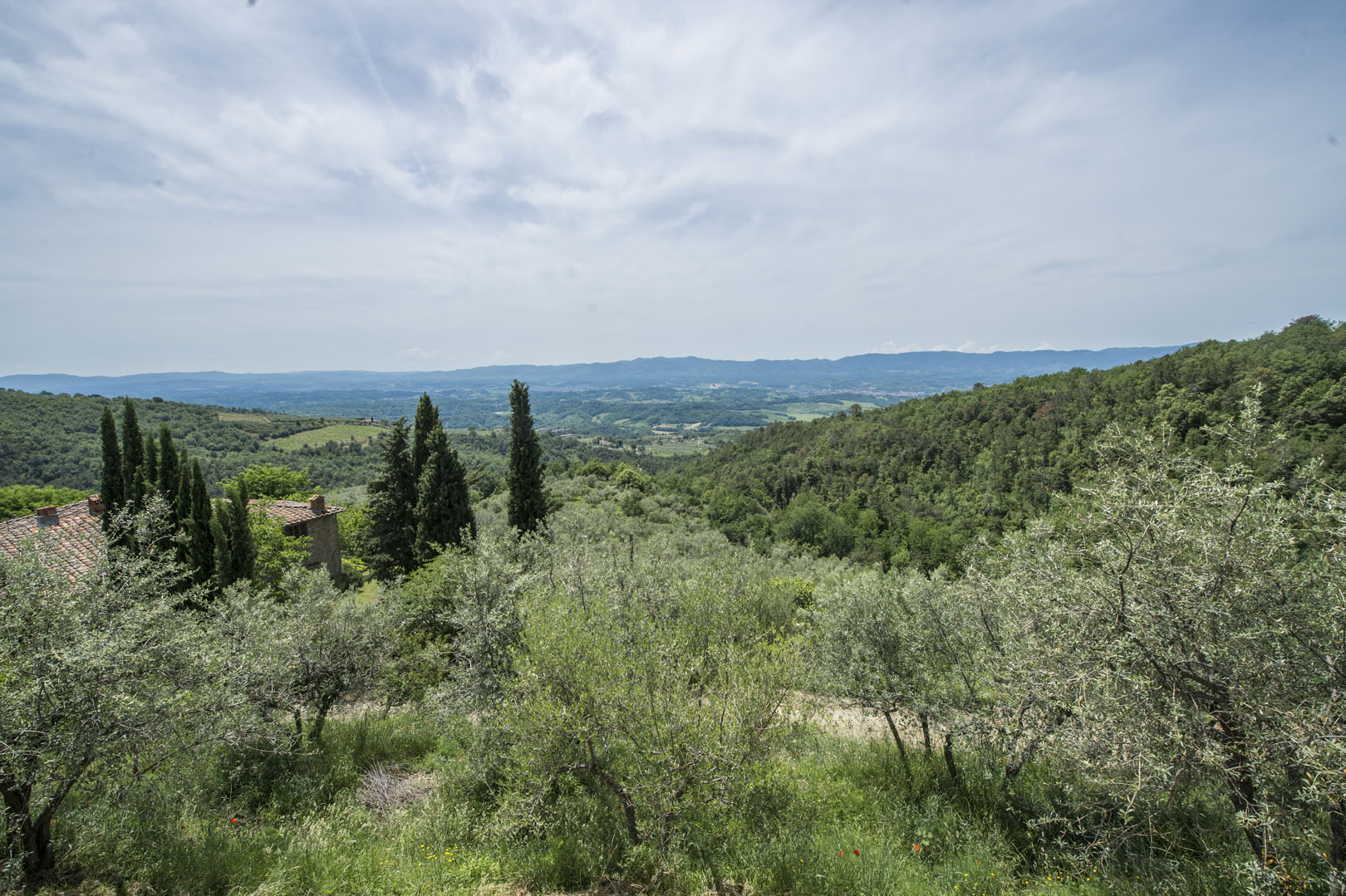 VALDARNO REAL ESTATE FOR SALE, LUXURY ITALIAN PROPERTY FOR SALE IN VALDARNO, VILLAS AND HOUSES FOR SALE IN VALDARNO