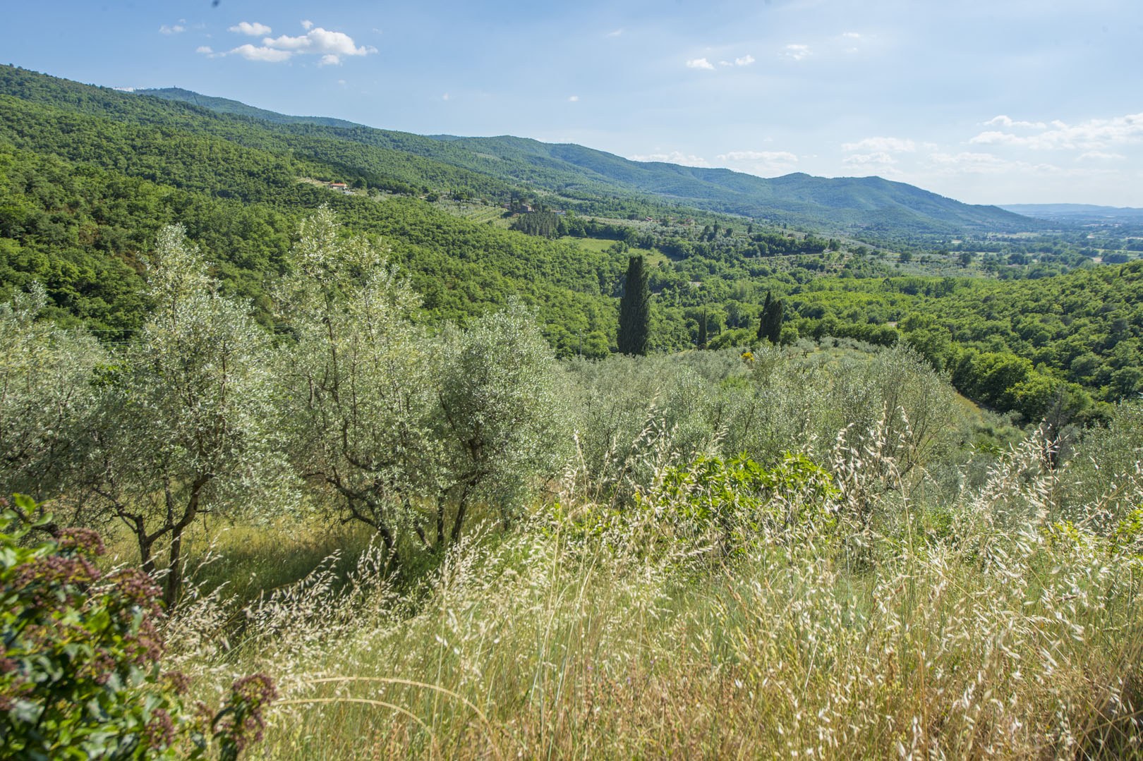 VAL DI CHIO LUXURY ITALIAN PROPERTY FOR SALE, REAL ESTATE FOR SALE IN VAL DI CHIO