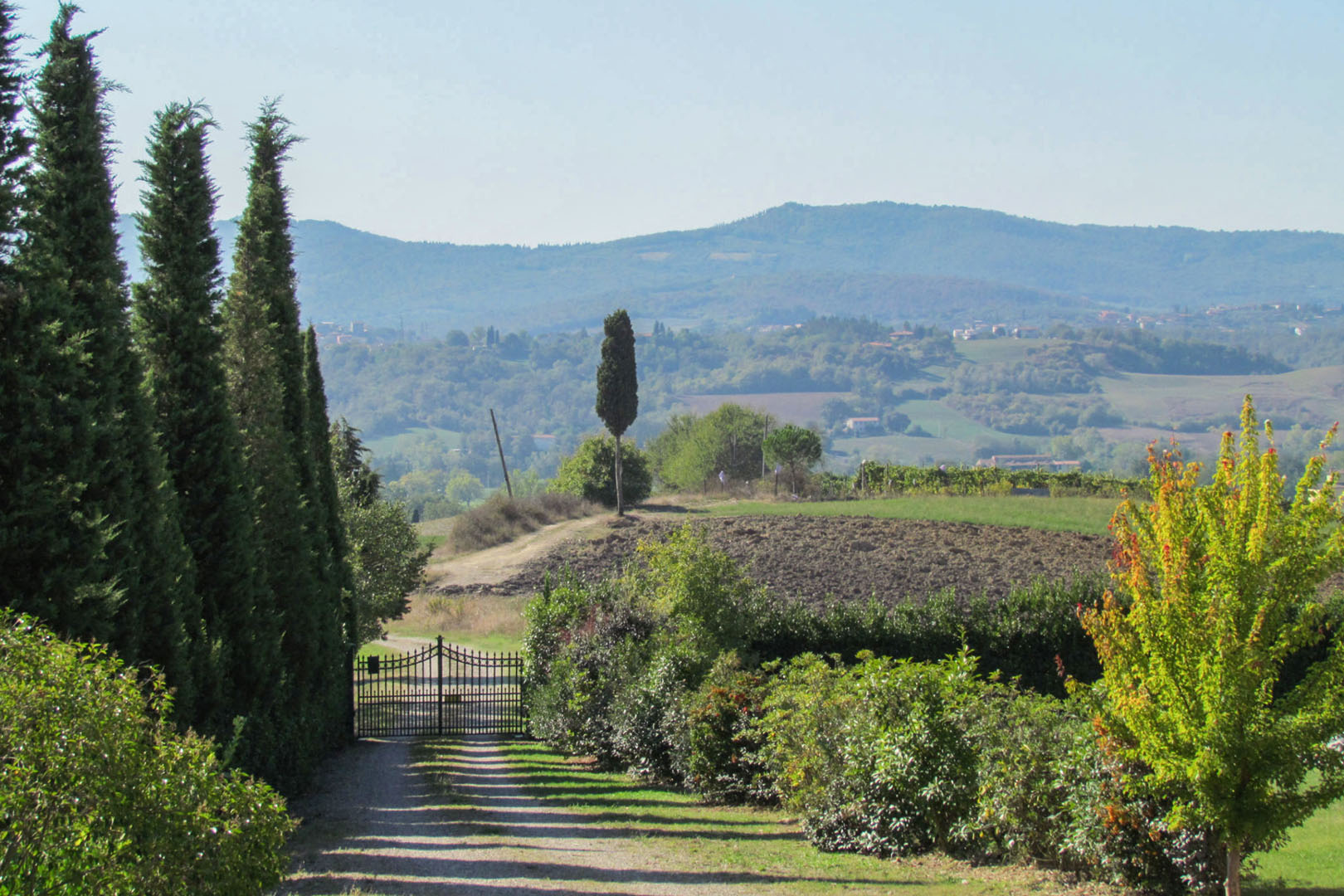 VALDARNO REAL ESTATE FOR SALE, LUXURY ITALIAN PROPERTY FOR SALE IN VALDARNO, VILLAS AND HOUSES FOR SALE IN VALDARNO