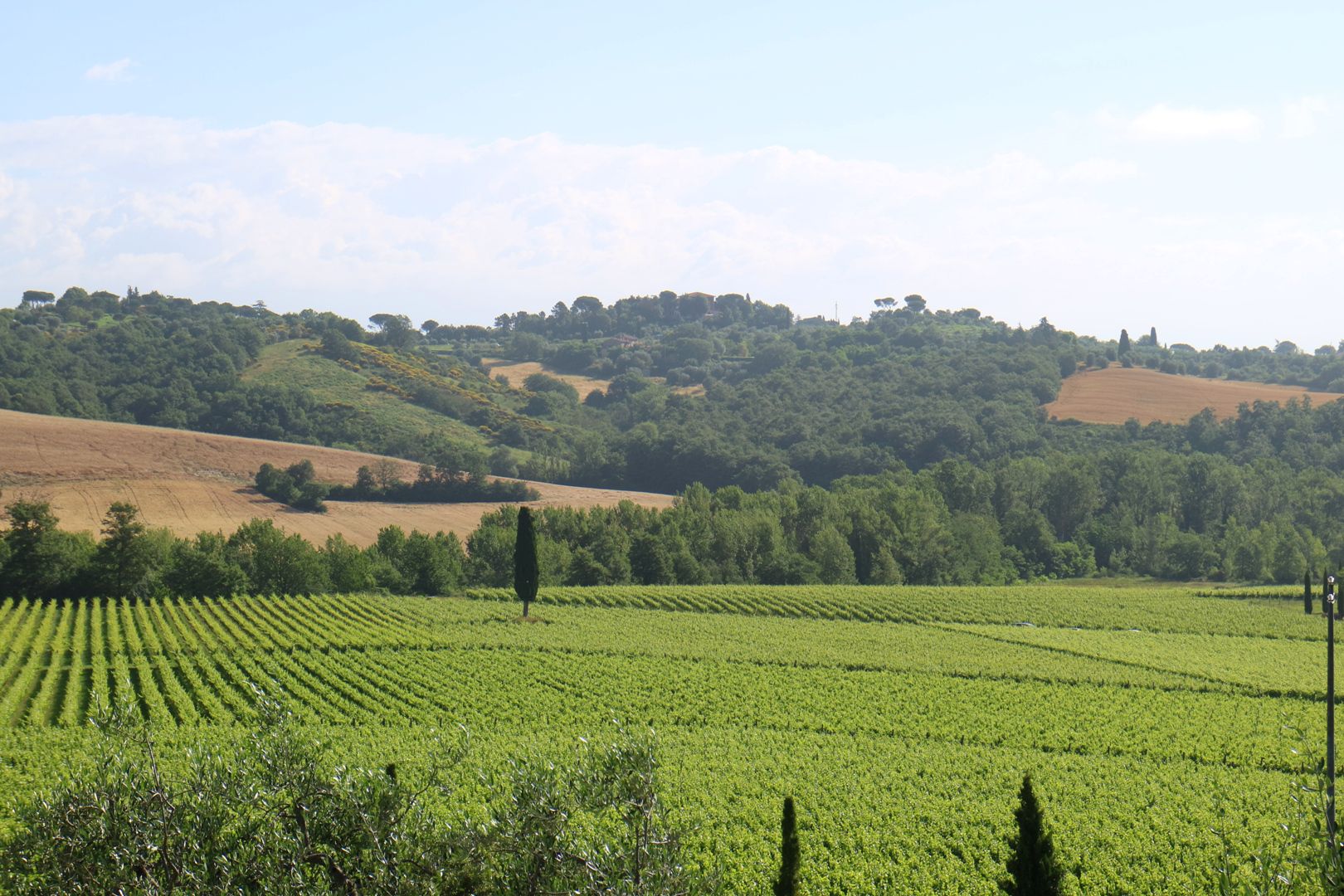 VAL D'ORCIA REAL ESTATE FOR SALE, VAL D'ORCIA PROPERTY FOR SALE, LUXURY ITALIAN PROPERTY FOR SALE IN VAL D'ORCIA