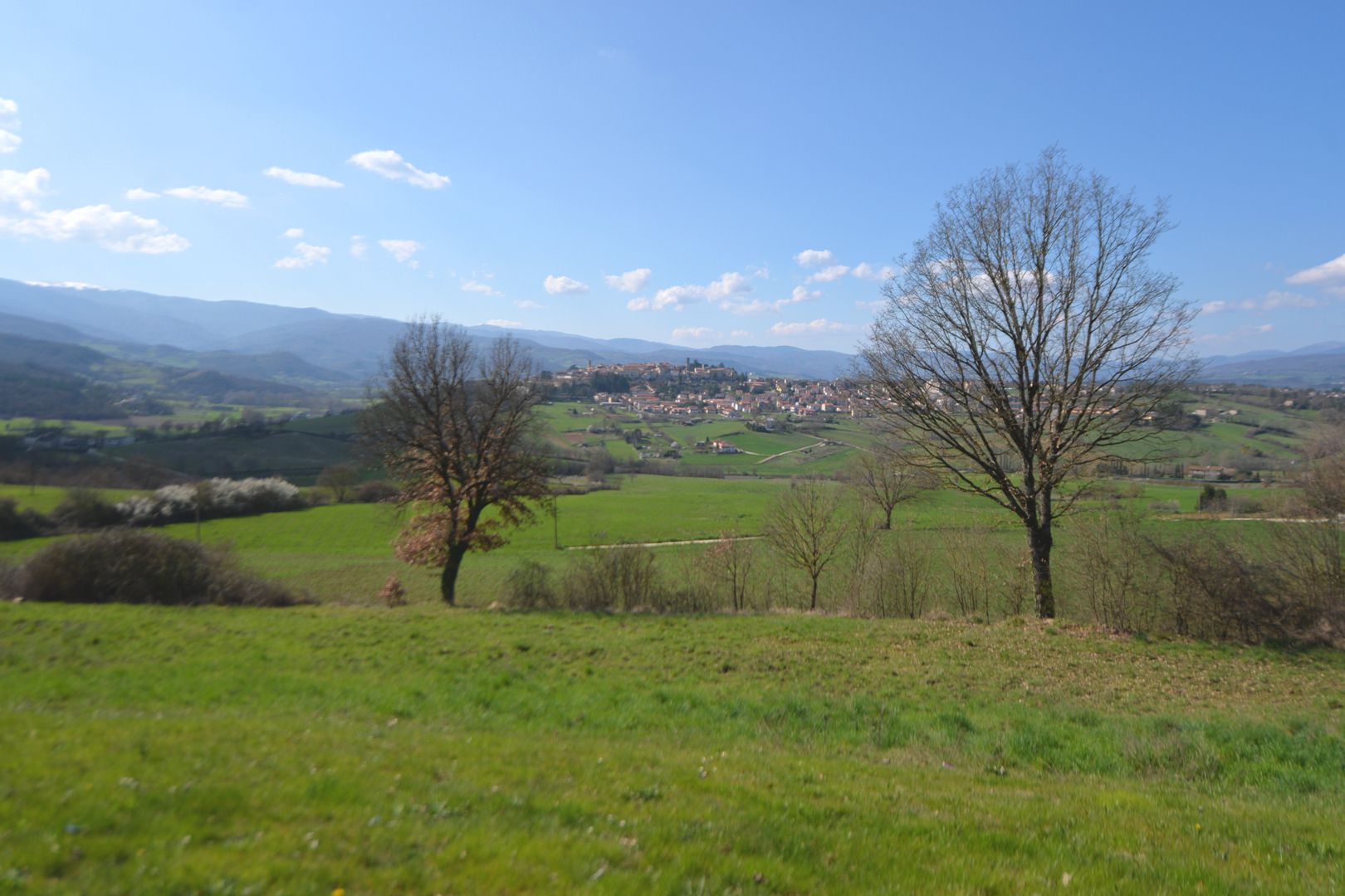 CASENTINO, REAL ESTATE AND LUXURY ITALIAN PROPERTY FOR SALE