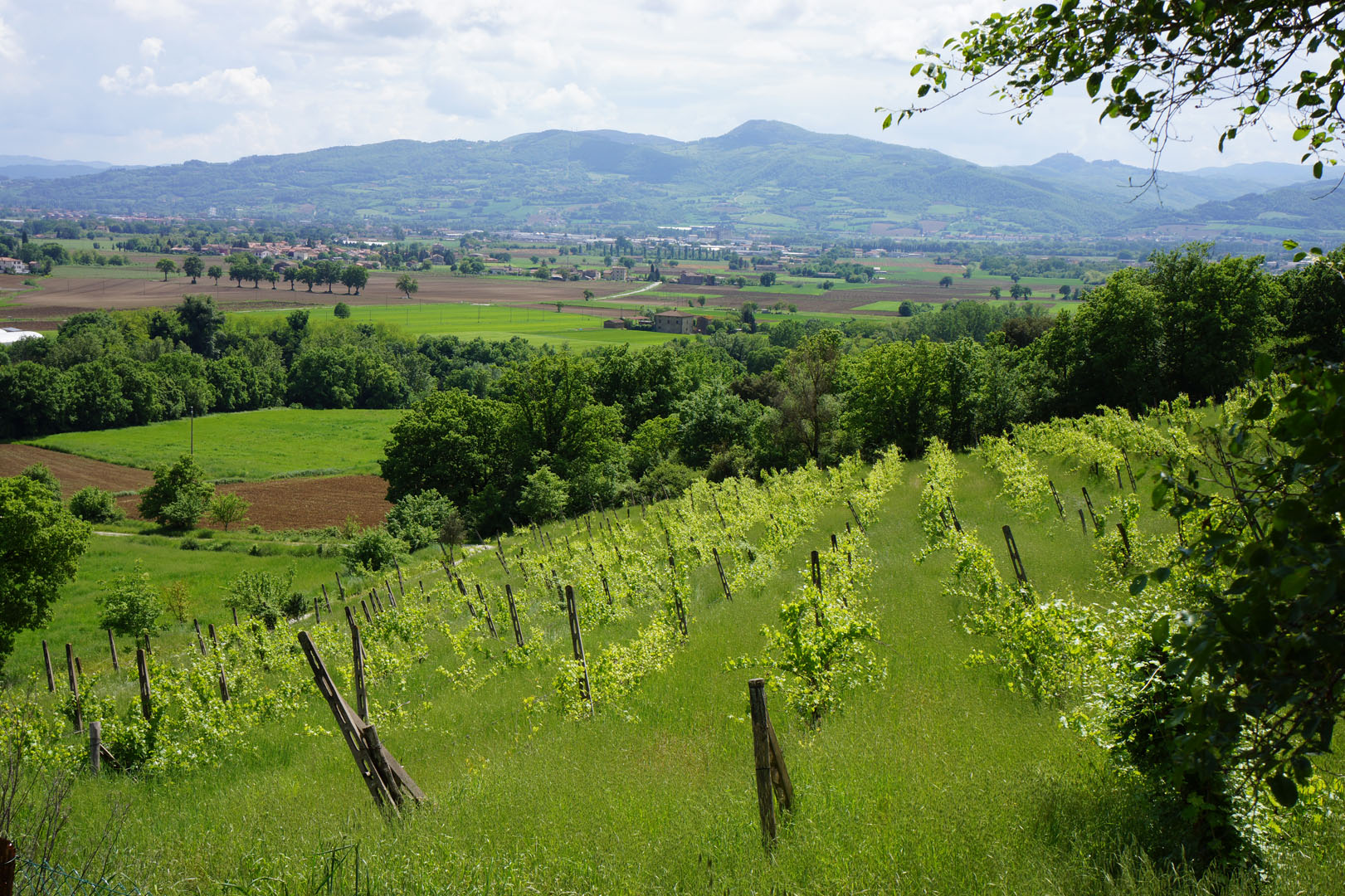 NICCONE VALLEY REAL ESTATE - ITALIAN PROPERTY FOR SALE IN NICCONE VALLEY.