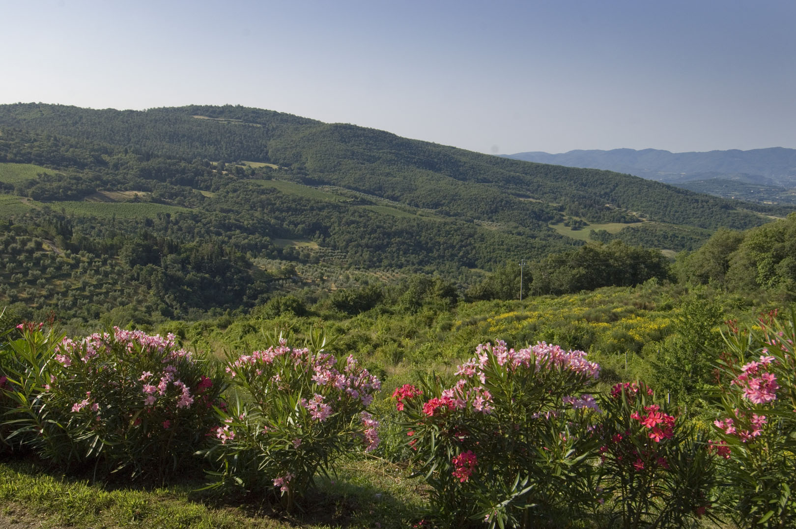 VAL DI CHIANA LUXURY ITALIAN PROPERTY FOR SALE, REAL ESTATE FOR SALE IN VAL DI CHIANA