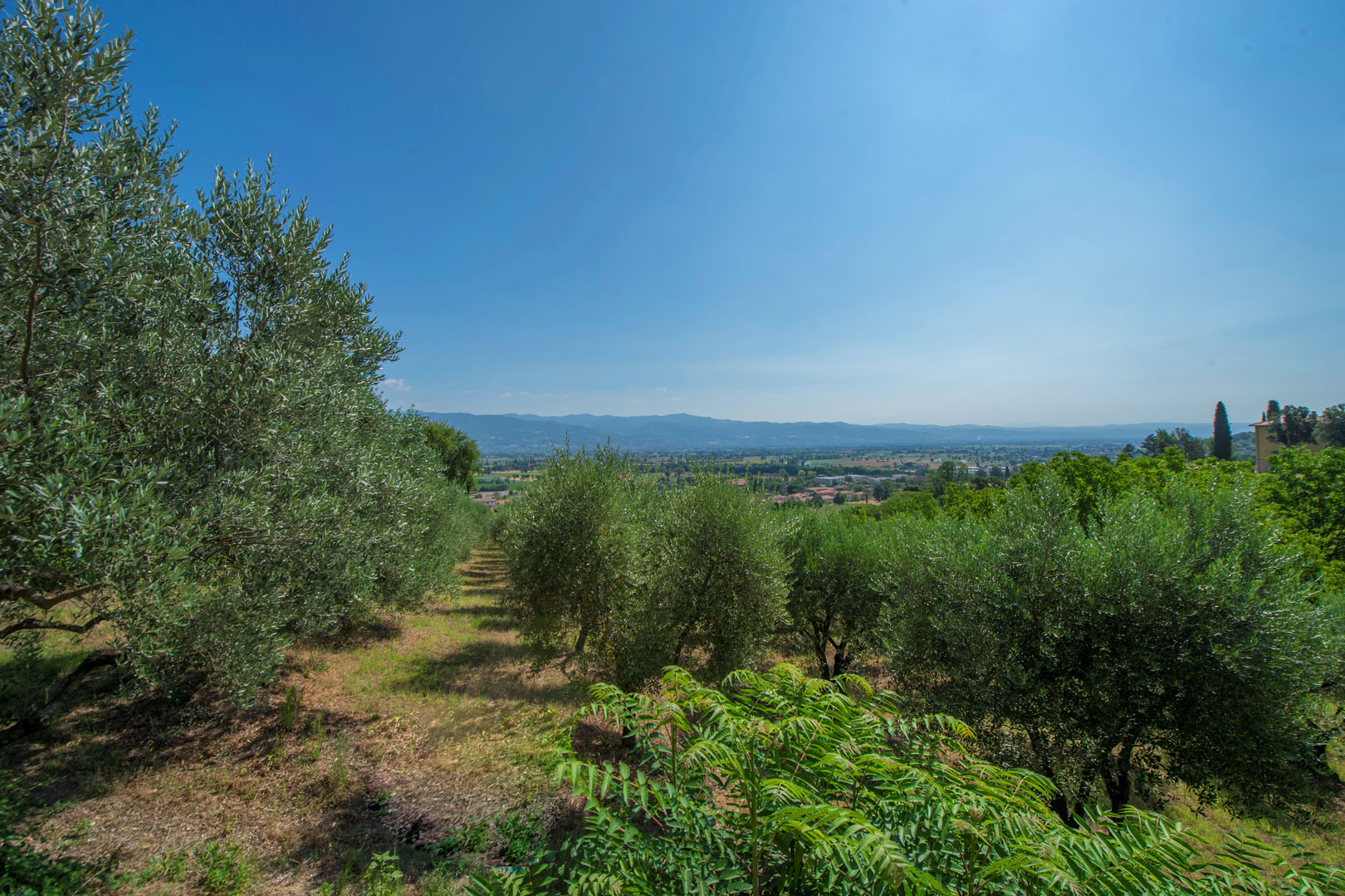 TIBER VALLEY REAL ESTATE FOR SALE; LUXURY ITALIAN PROPERTY FOR SALE IN TIBER VALLEY