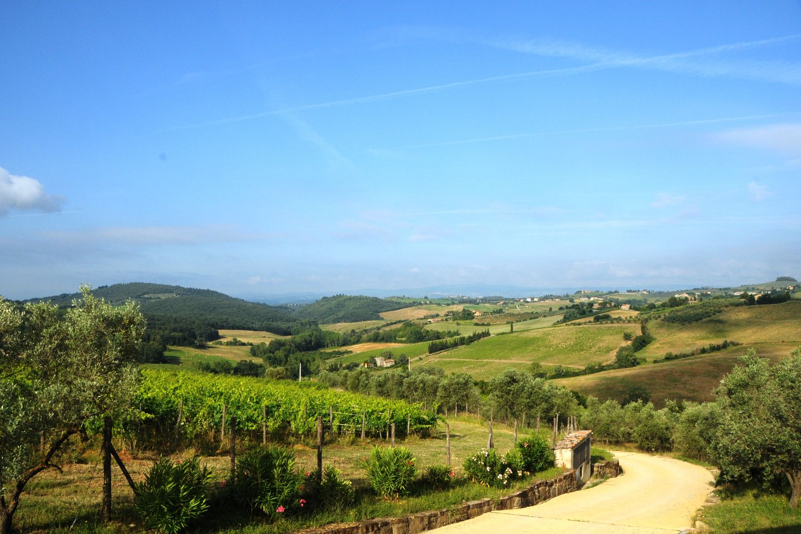 CHIANTI HILLS IN TUSCANY, LUXURY ITALIAN PROPERTY FOR SALE | Chiantishire