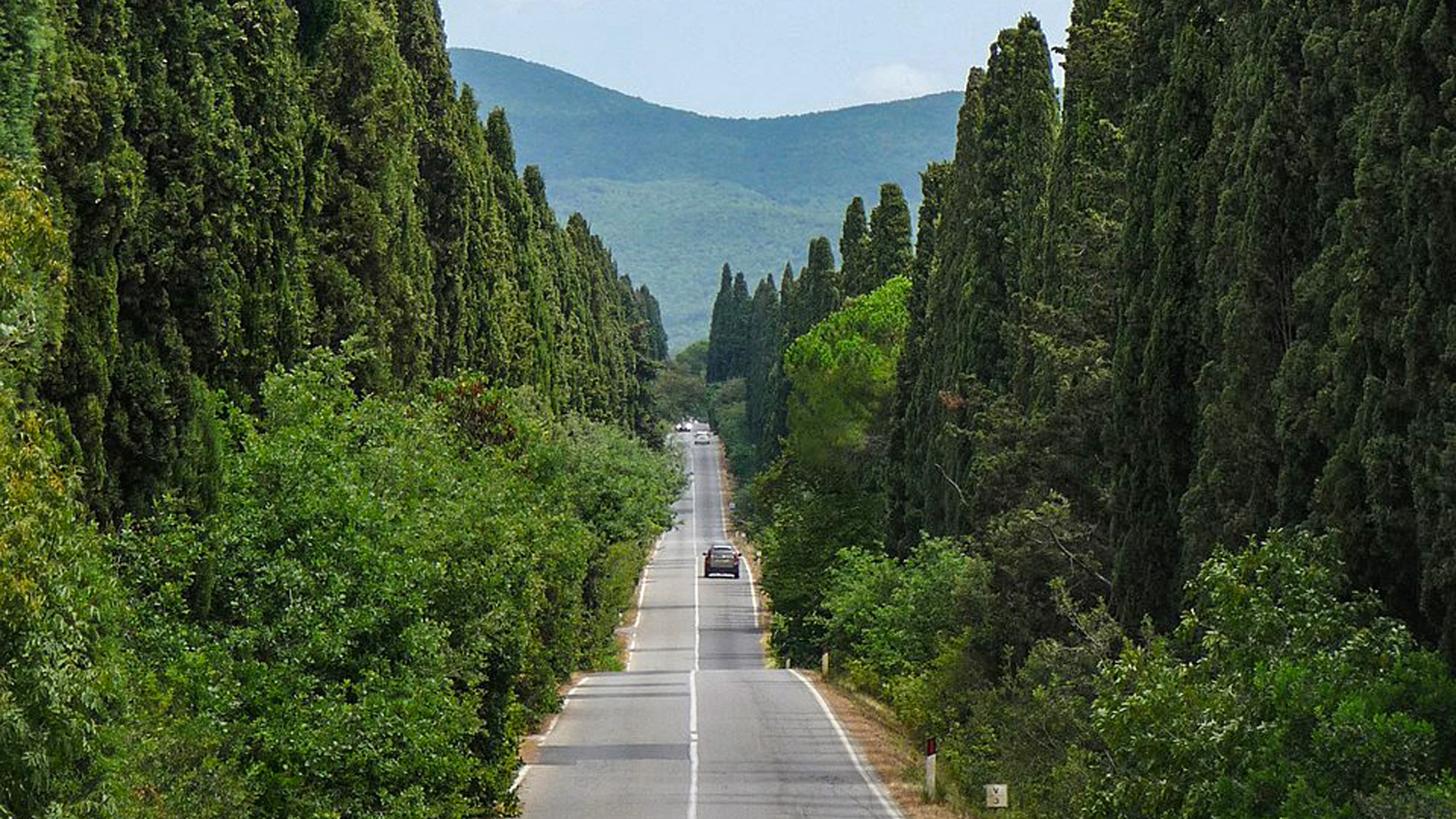 Bolgheri: wine, sea and villas among the Etruscan hills