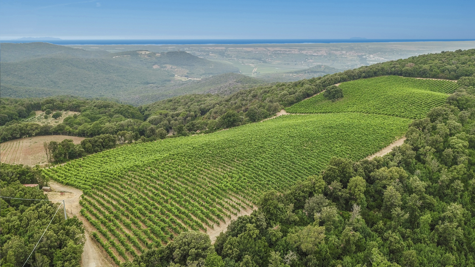 Bolgheri: wine, sea and villas among the Etruscan hills