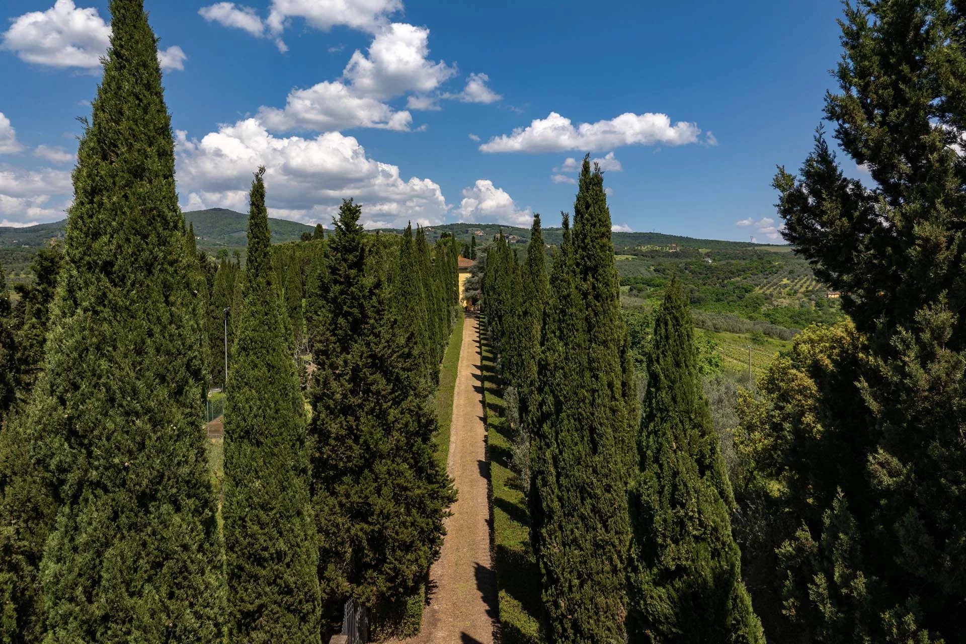 Vineyards, estates and large expanses of land