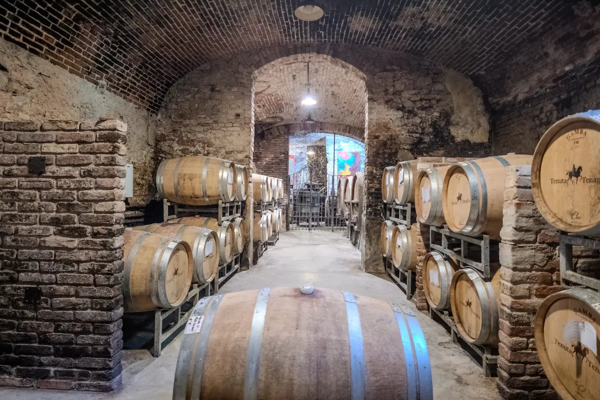 The viticultural heritage: numbers, quality and diversification