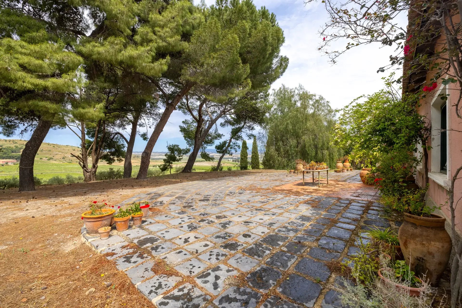 The rare value of proximity to the sea