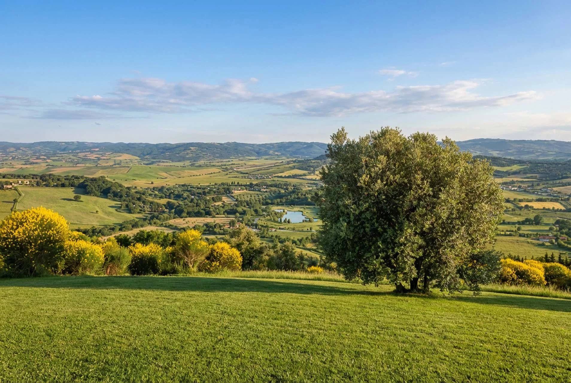 Woods, olive groves, and rural life