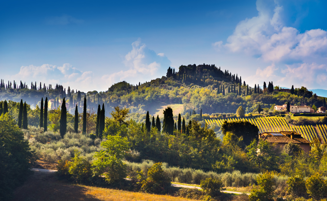 A defined and recognizable lifestyle