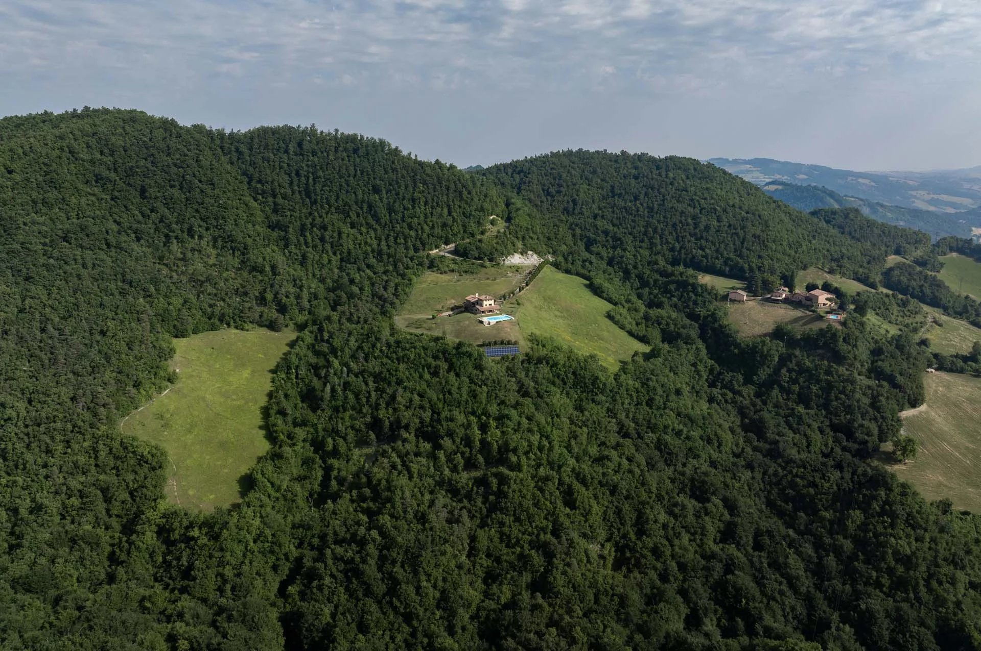 The forest as a representation element