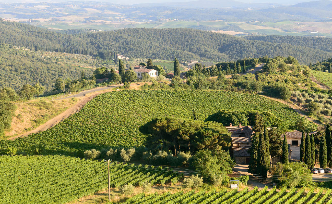 Chianti Classico: the elegant heart of Tuscany