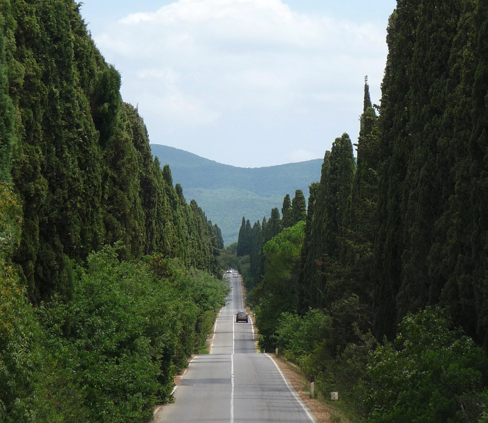 Bolgheri and the Etruscan Coast: sea, wine and contemporary lifestyle