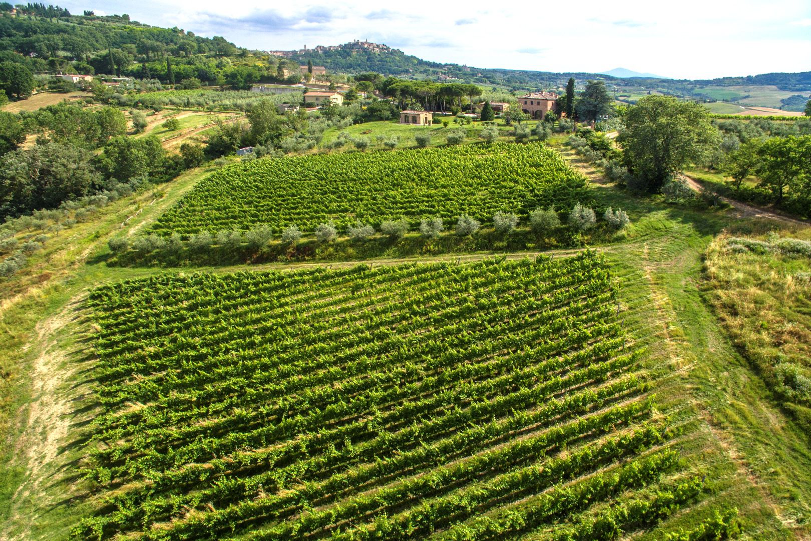 FARMHOUSES, WINE ESTATES, WINERIES, MEDIEVAL TOWERS AND VILLAS FOR SALE MONTEPULCIANO