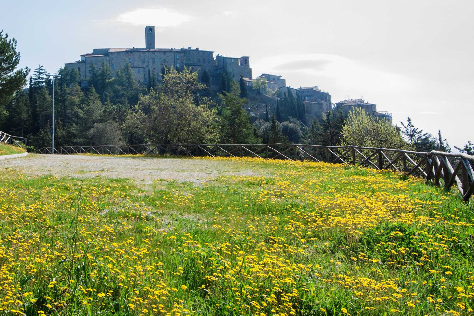 PROPERTY FOR SALE IN MONTE SANTA MARIA TIBERINA, UMBRIA