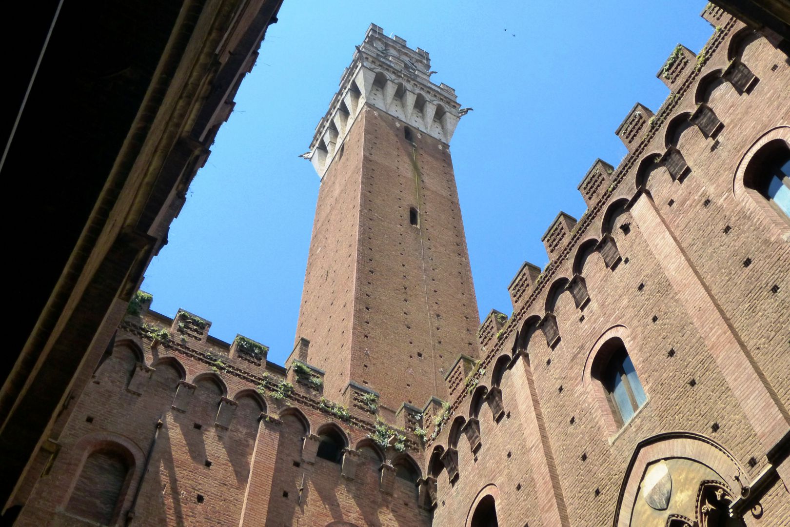 LUXURY PROPERTY FOR SALE IN SIENA - WINERIES, FARMHOUSES, HOTELS, AGRITURISMO