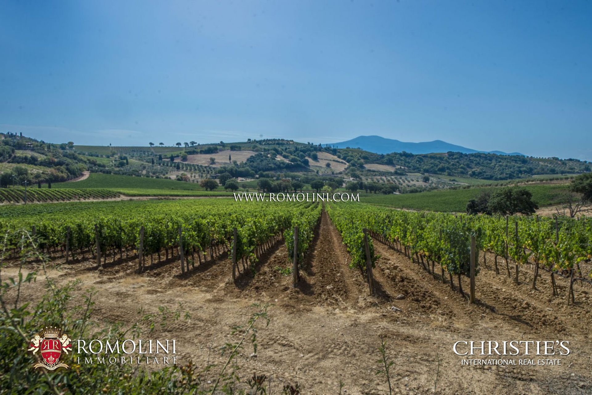 BRUNELLO DI MONTALCINO DOCG VINEYARDS AND WINERIES FOR SALE, COUNTRY HOUSE FOR SALE