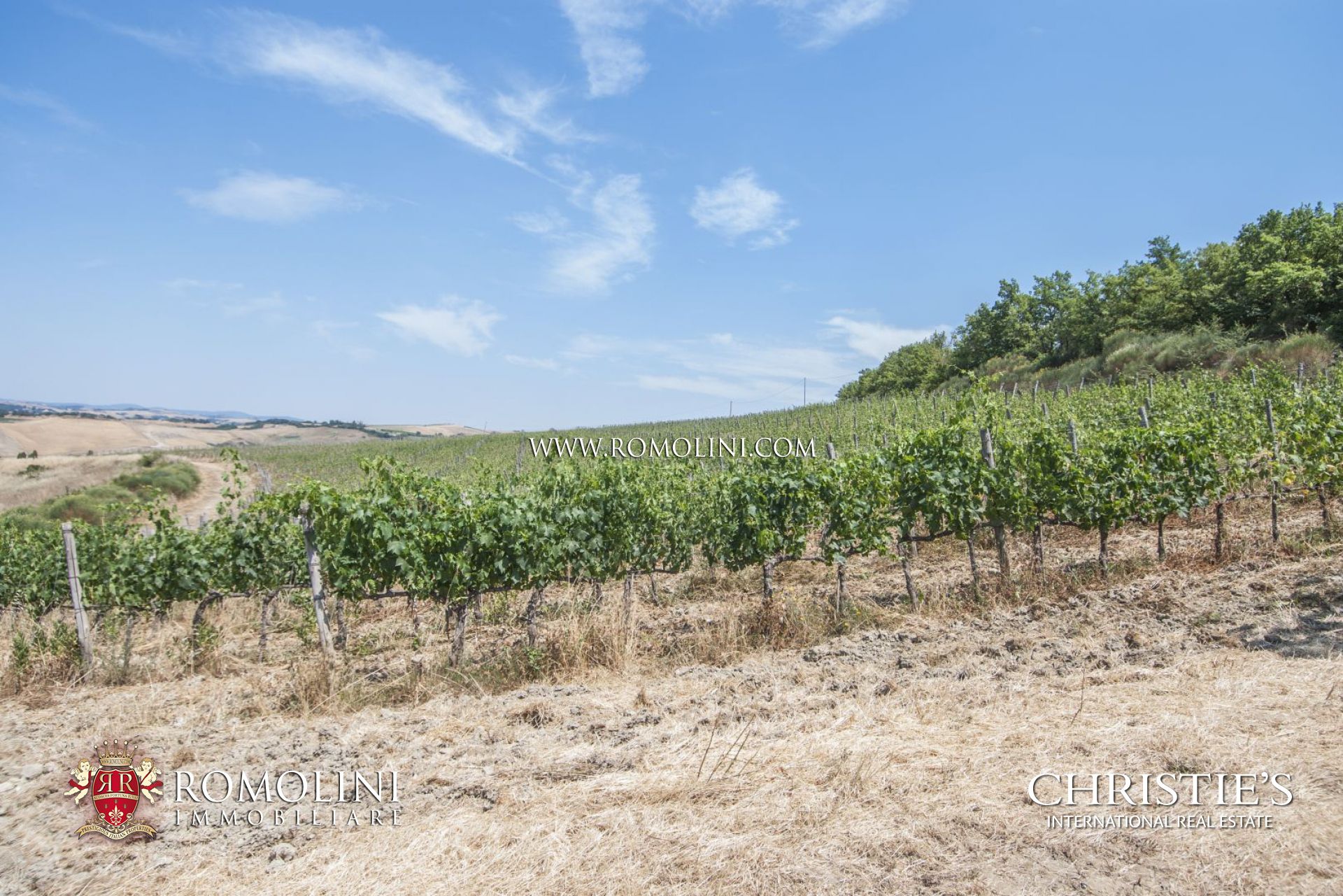 BRUNELLO DI MONTALCINO DOCG VINEYARDS AND WINERIES FOR SALE, COUNTRY HOUSE FOR SALE