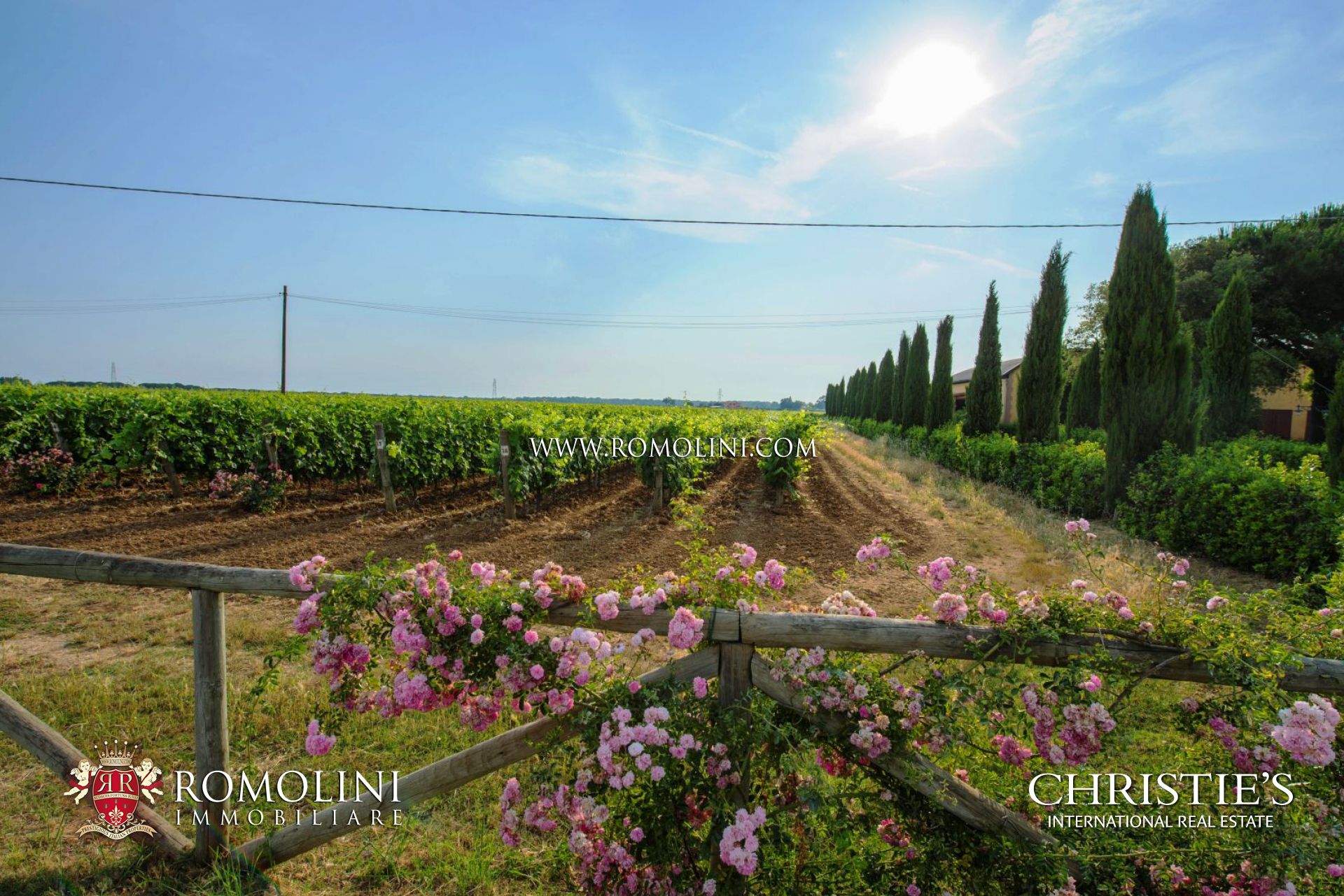 VINEYARDS & WINERY FOR SALE IN BOLGHERI - SUPERTUSCAN WINE CELLAR WITH VINEYARD FOR SALE IN BOLGHERI, TUSCANY SEASIDE