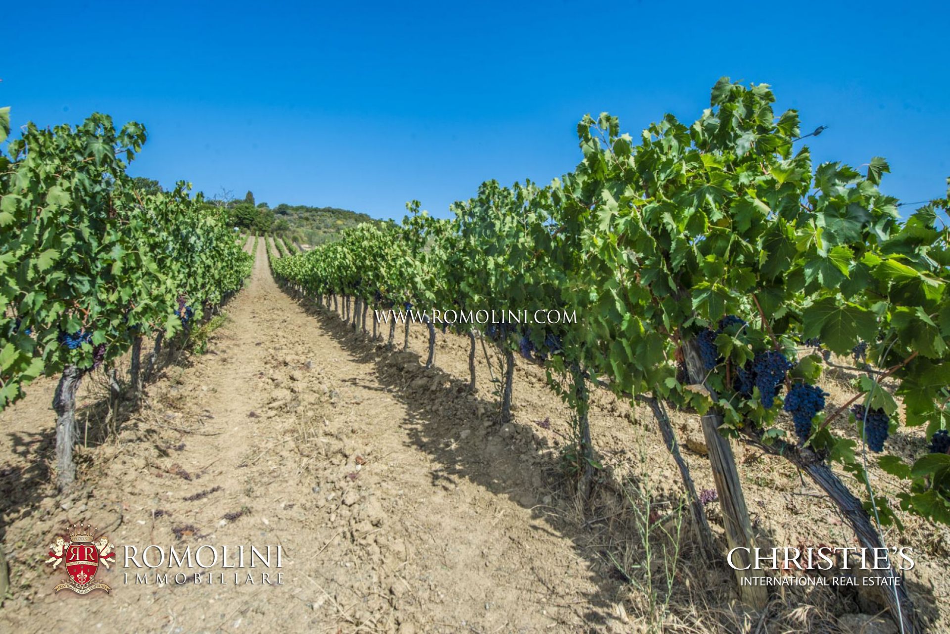 BRUNELLO DI MONTALCINO DOCG VINEYARDS AND WINERIES FOR SALE, COUNTRY HOUSE FOR SALE