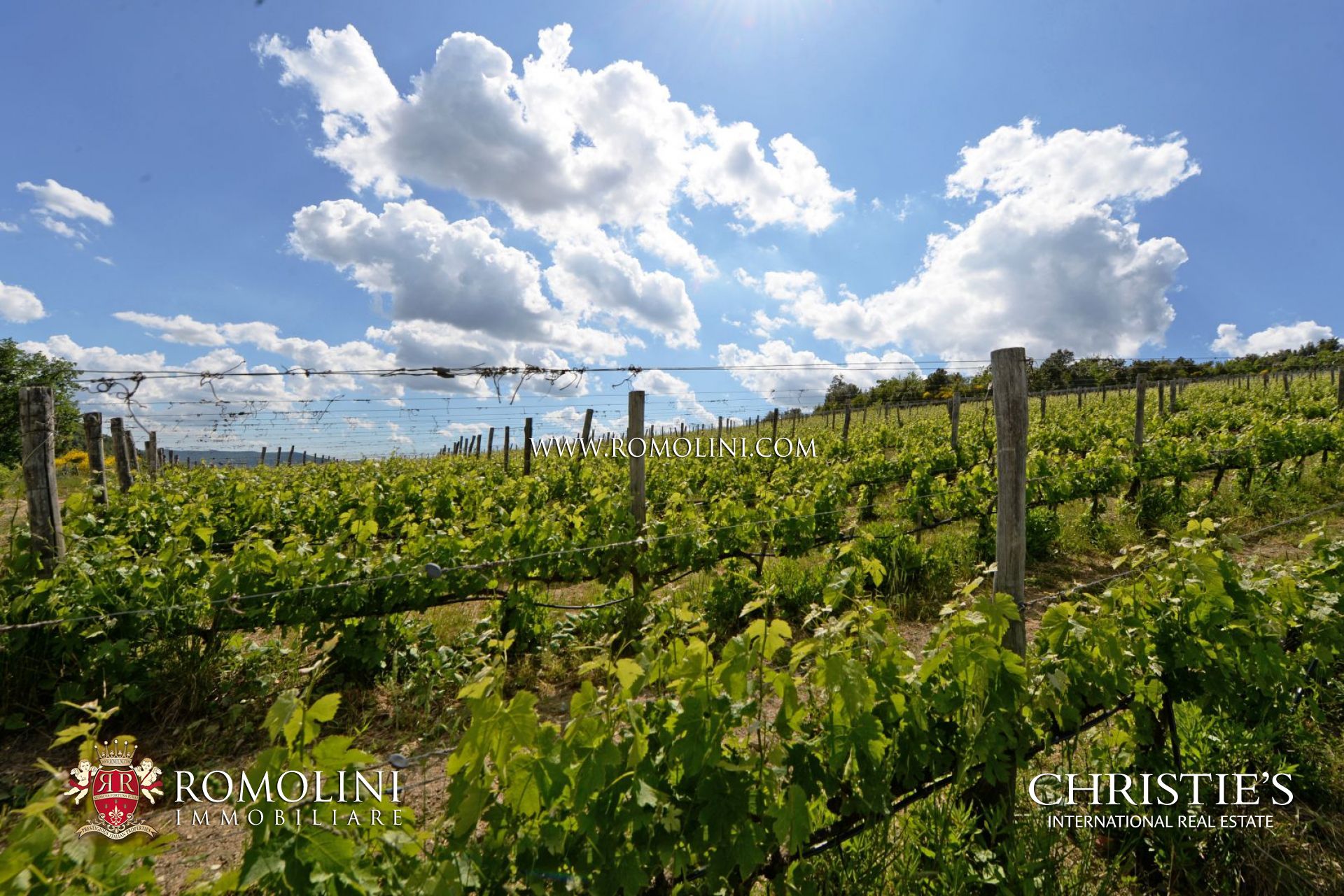 LUXURY PROPERTY FOR SALE IN SIENA - WINERIES, FARMHOUSES, HOTELS, AGRITURISMO