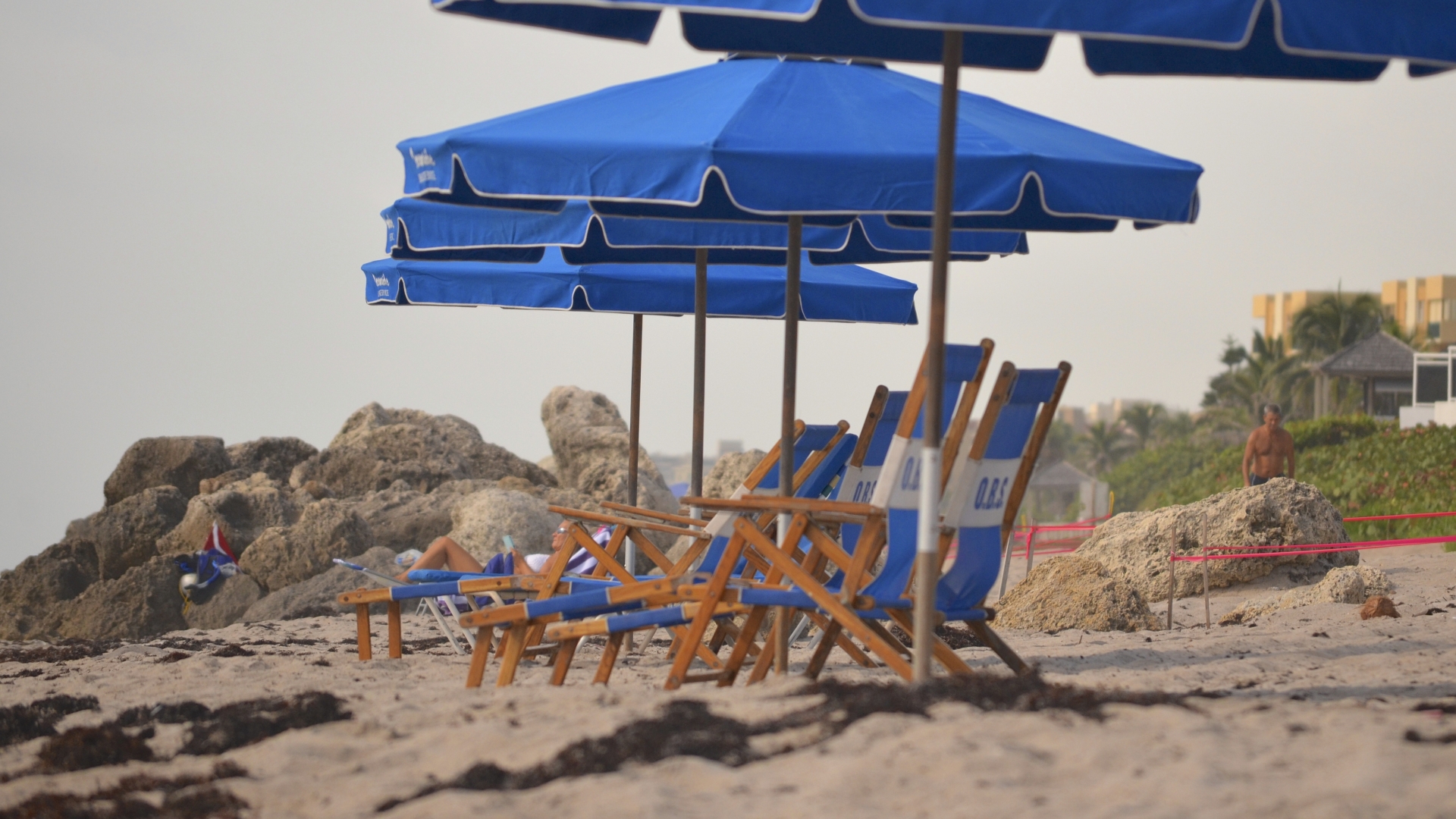 SEA VIEW APARTMENTS AND HOUSES FOR SALE IN PORTO SANT'ELPIDIO, MARCHE