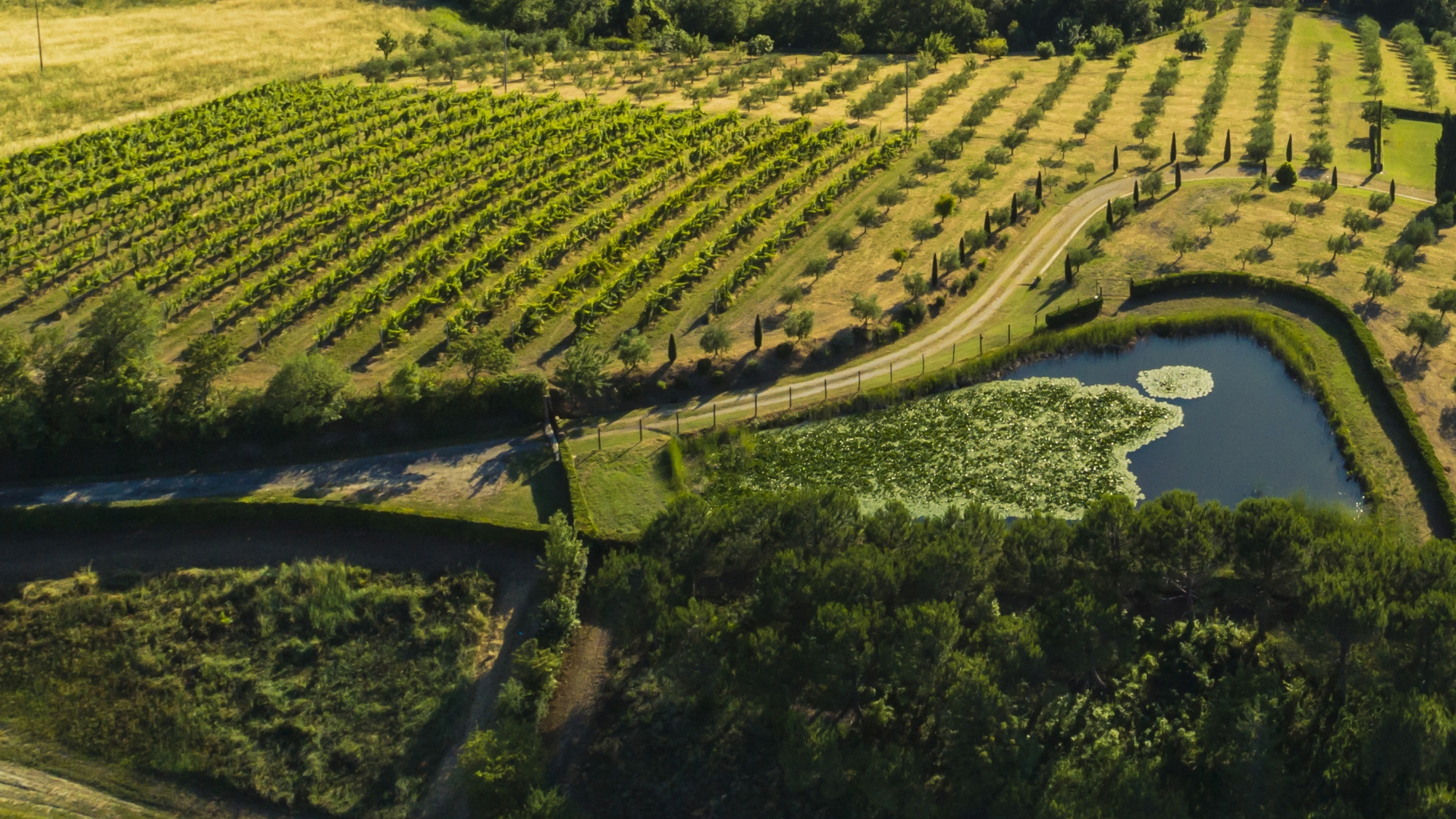 VILLAS, FARMHOUSES AND WINE ESTATES FOR SALE IN CESENA, EMILIA-ROMAGNA