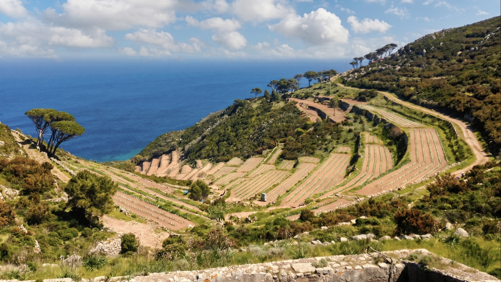 SEA VIEW VILLAS, FARMHOUSES AND WINERIES FOR SALE IN CAPRAIA, TUSCAN ARCHIPELAGO