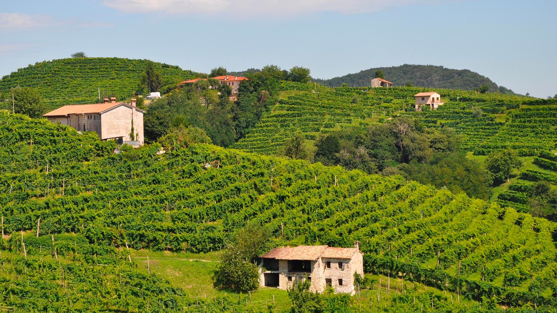 VINEYARDS AND WINERIES FOR SALE IN VALDOBBIADENE, PROSECCO HILLS