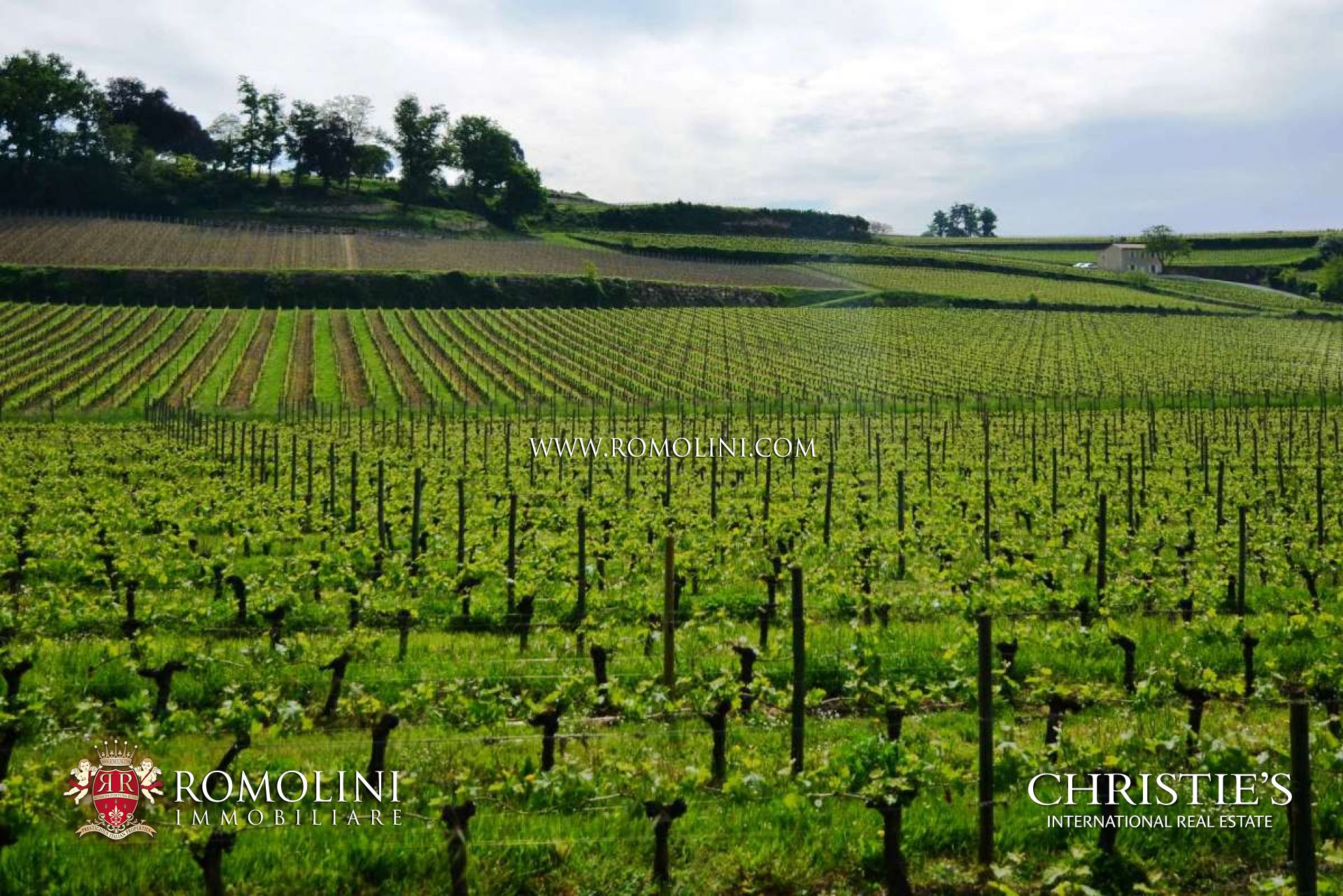 VINEYARDS & WINERIES FOR SALE IN BORDEAUX, SAINT EMILION, LUXURY WINE REAL ESTATE PROPERTIES FRANCE