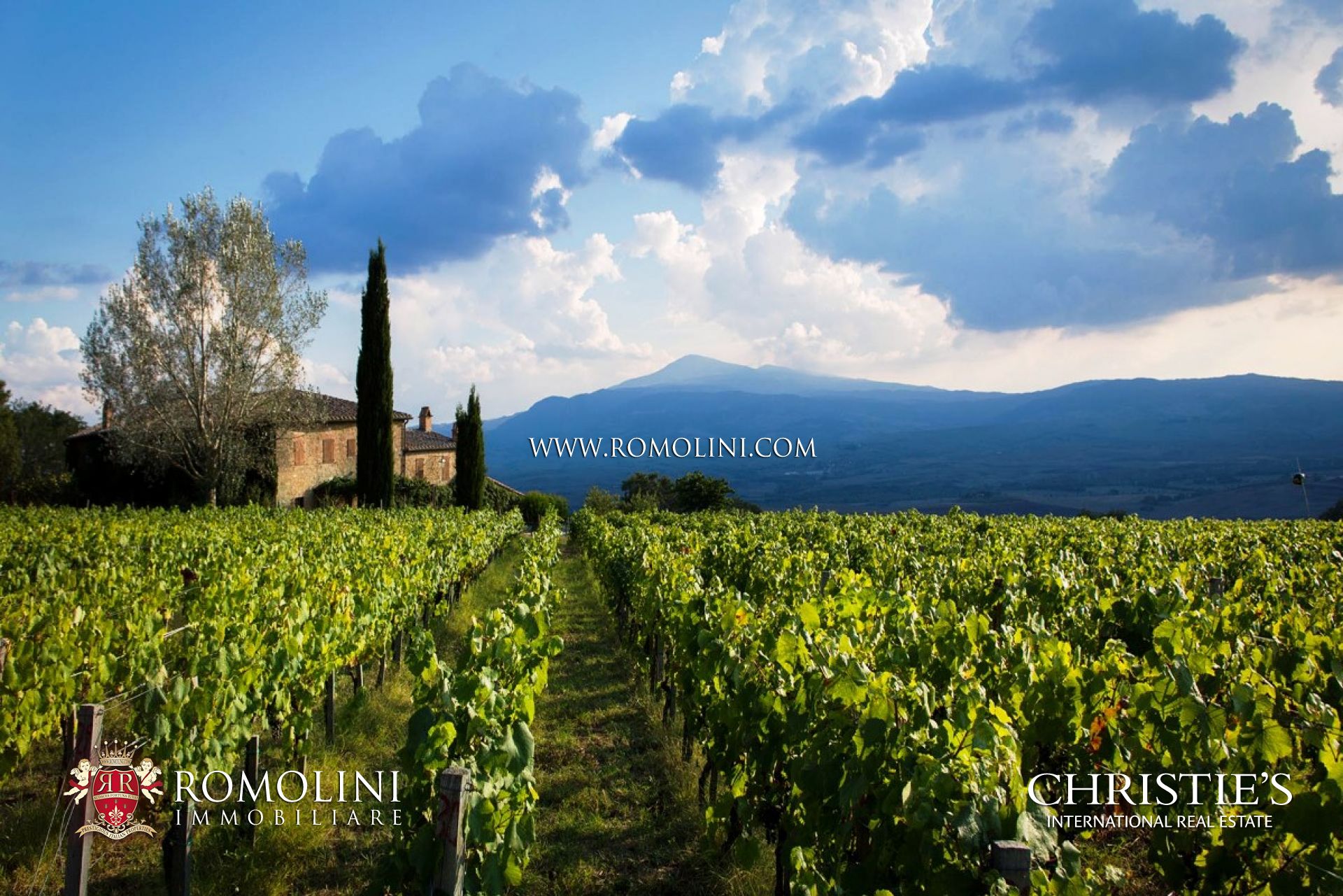 VINEYARDS AND WINERIES FOR SALE BRUNELLO DI MONTALCINO, LUXURY WINE REAL ESTATE FOR SALE IN TUSCANY BRUNELLO, VAL D'ORCIA. 