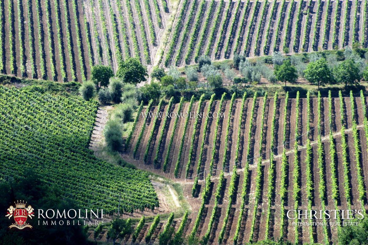 VINEYARDS AND WINERIES, WINE ESTATES FOR SALE CHIANTI CLASSICO, TUSCANY