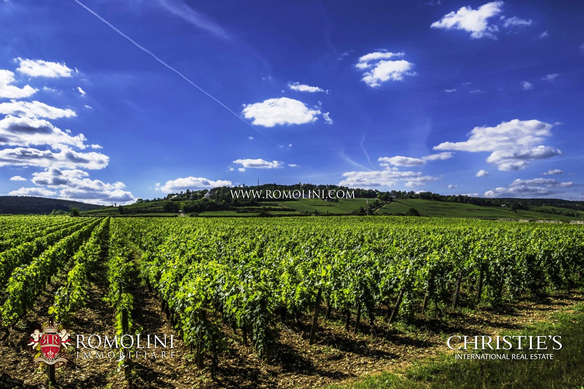 VINEYARDS & WINERIES FOR SALE IN BORDEAUX, SAINT EMILION, LUXURY WINE REAL ESTATE PROPERTIES FRANCE