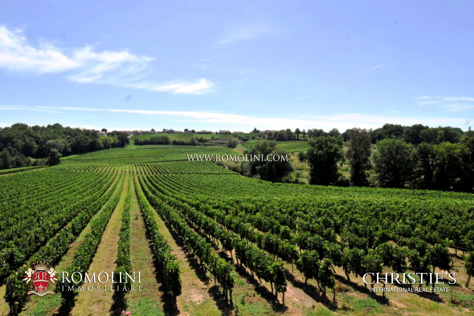 VINEYARDS & WINERIES FOR SALE IN BORDEAUX, SAINT EMILION, LUXURY WINE REAL ESTATE PROPERTIES FRANCE