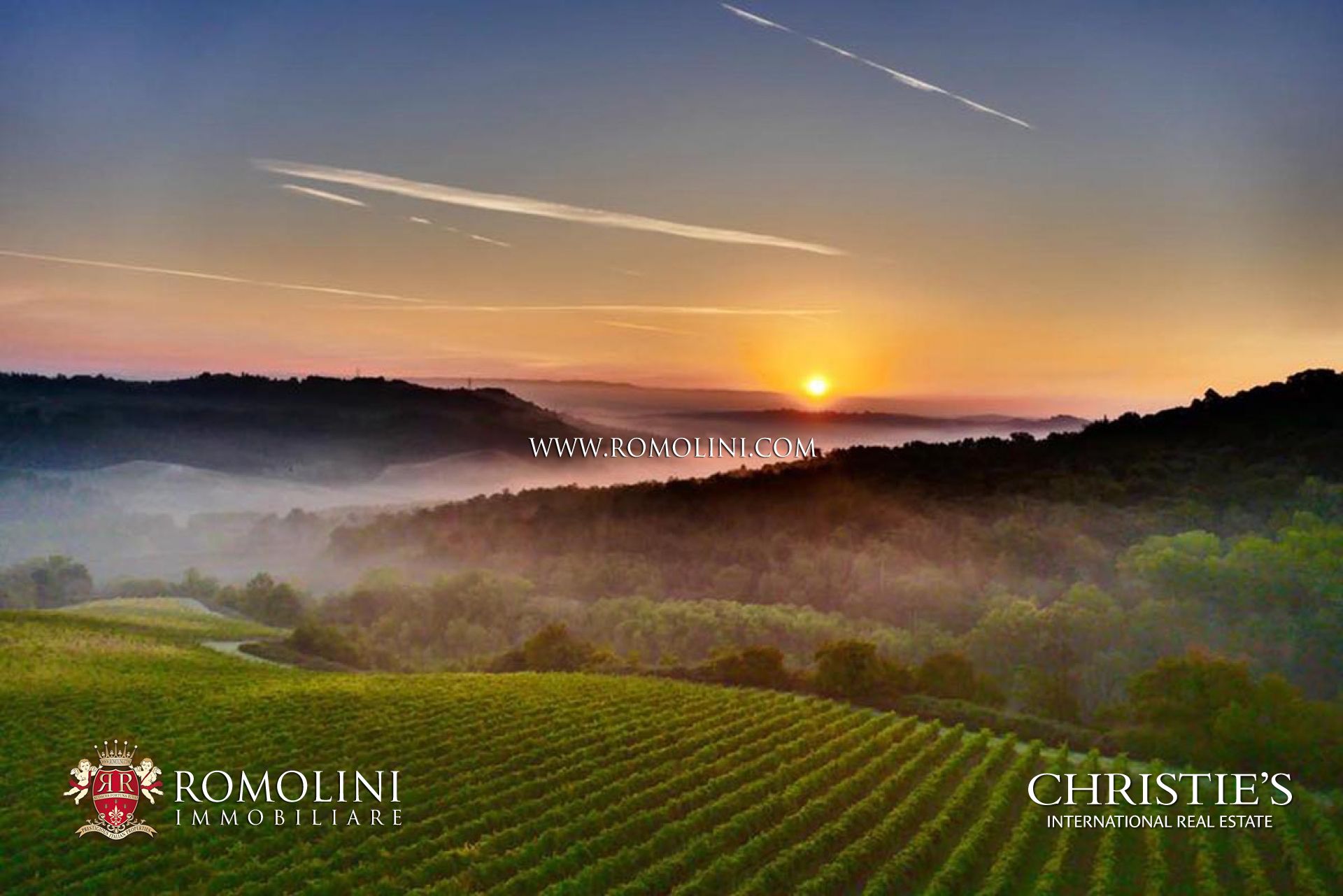 VINEYARDS WINERIES FOR SALE IN TUSCANY, ORGANIC WINE TUSCAN FARM FOR SALE