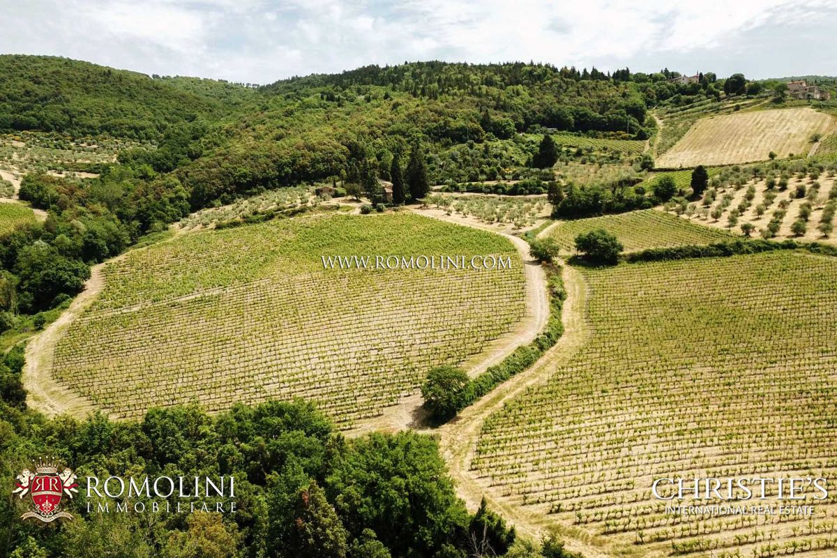 VINEYARDS AND WINERIES, WINE ESTATES FOR SALE CHIANTI CLASSICO, TUSCANY