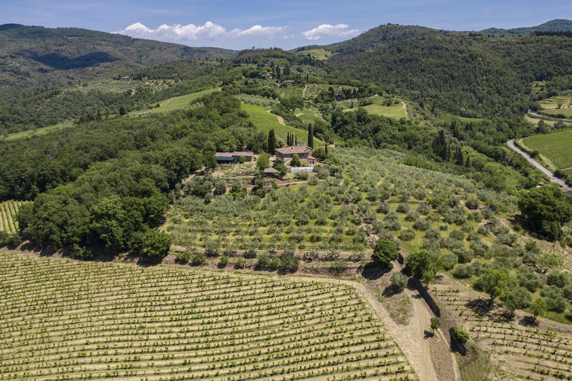 FARMHOUSES FOR SALE FLORENCE, LUXURY COUNTRY ESTATES TO BUY FLORENCE 