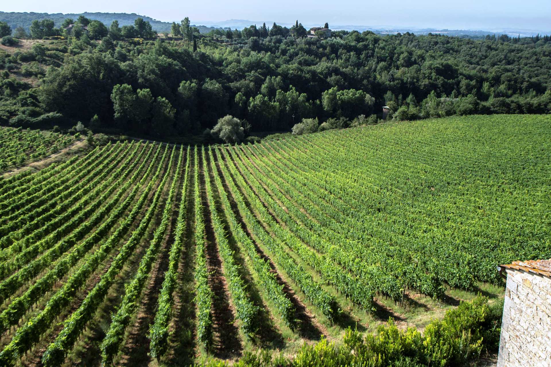 VINEYARDS AND WINERIES, WINE ESTATES FOR SALE CHIANTI CLASSICO, TUSCANY