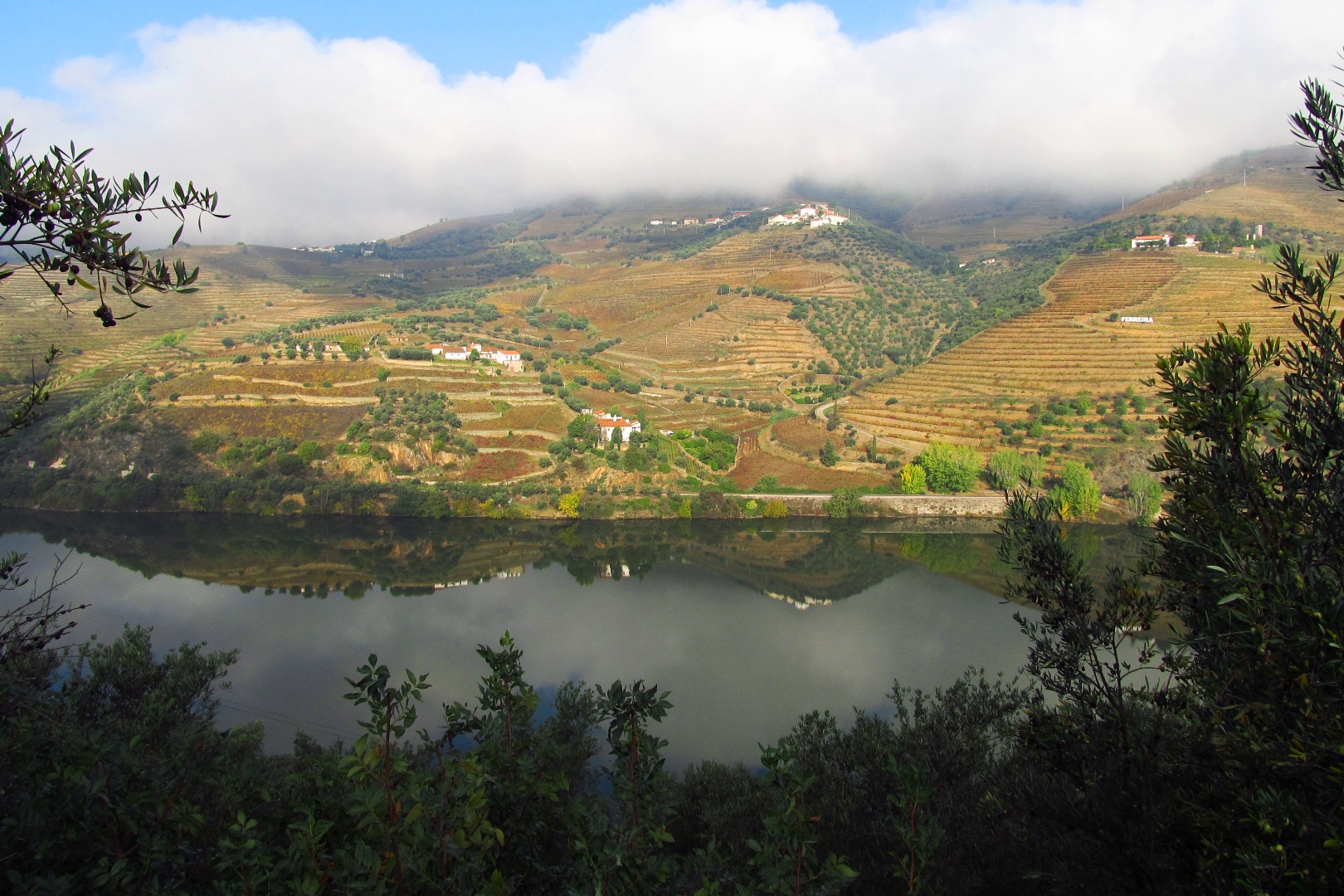 PROPERTY FOR SALE VISEU, PORTUGAL, WINE ESTATE, HOTEL, LUXURY VILLA FOR SALE