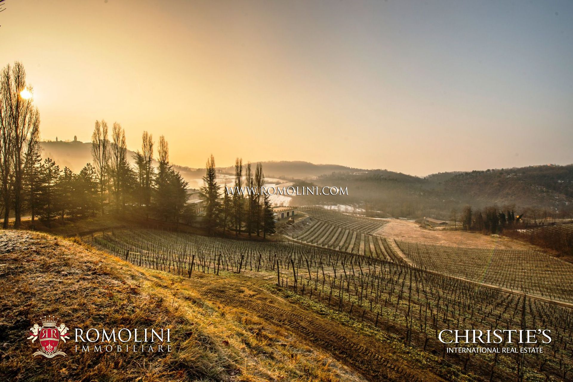 PIEDMONT - LUXURY REAL ESTATE FOR SALE