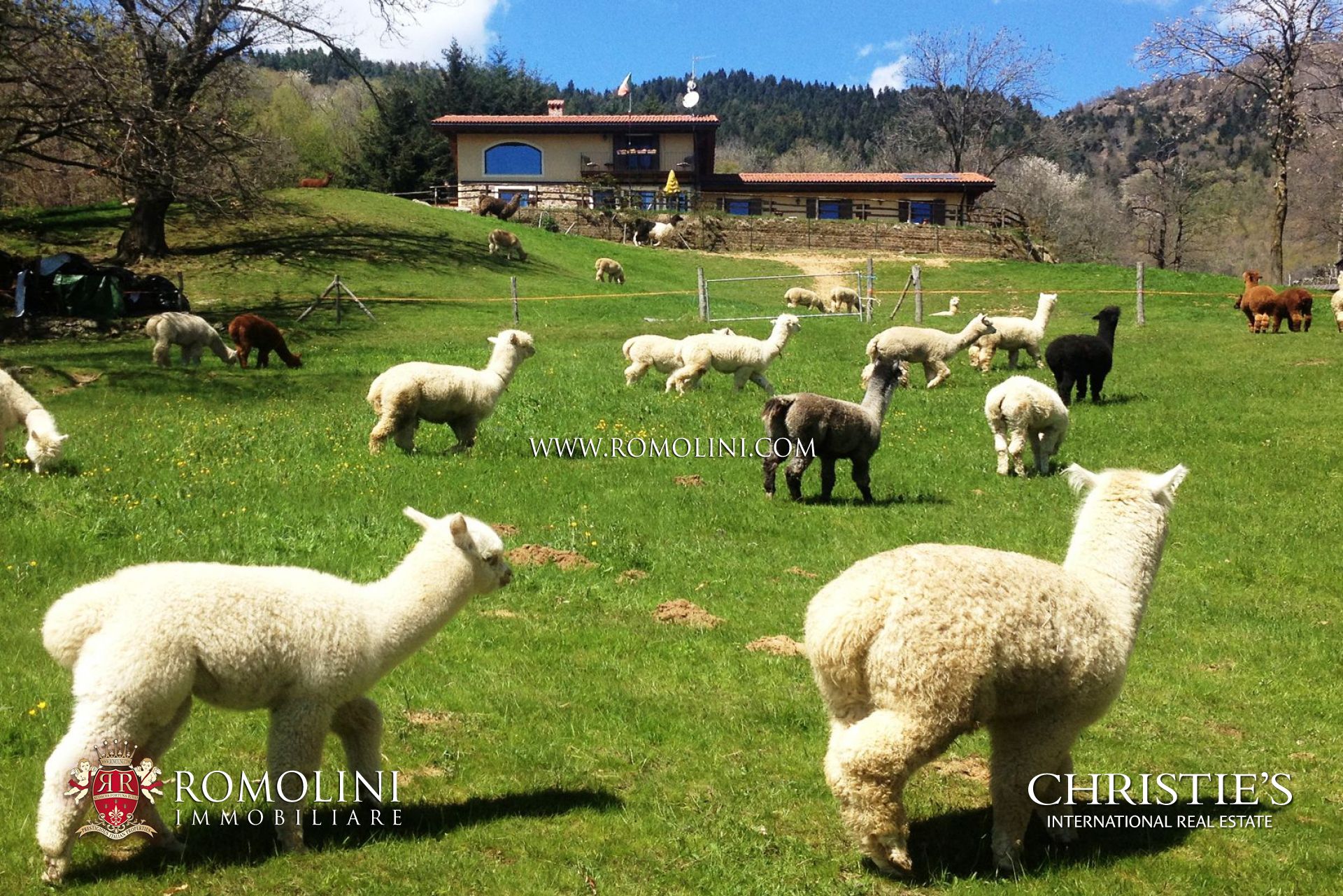 PIEDMONT - LUXURY REAL ESTATE FOR SALE