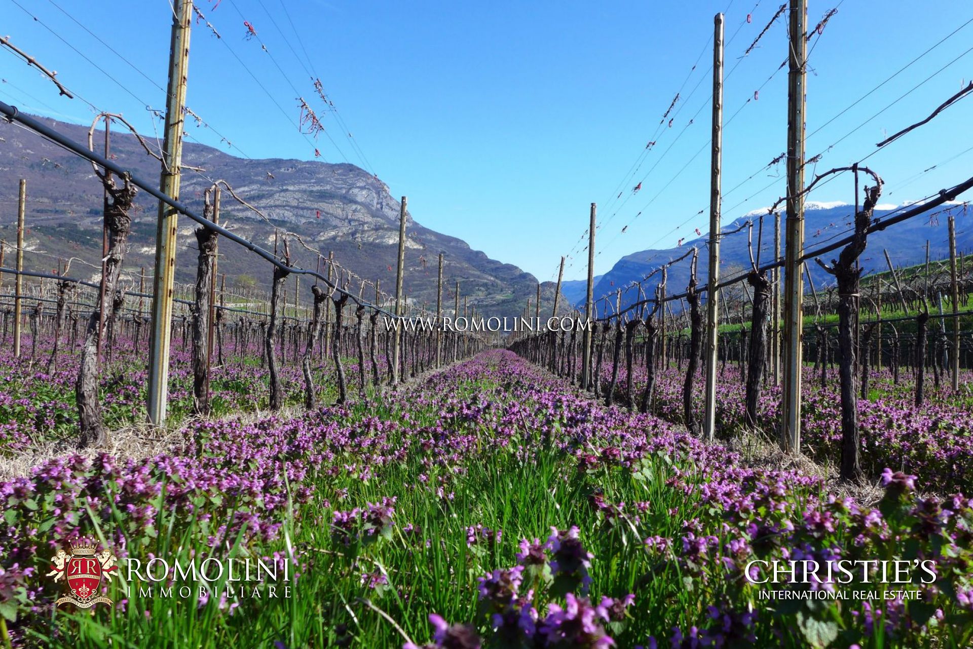 TRENTINO-ALTO ADIGE PROPERTY FOR SALE 