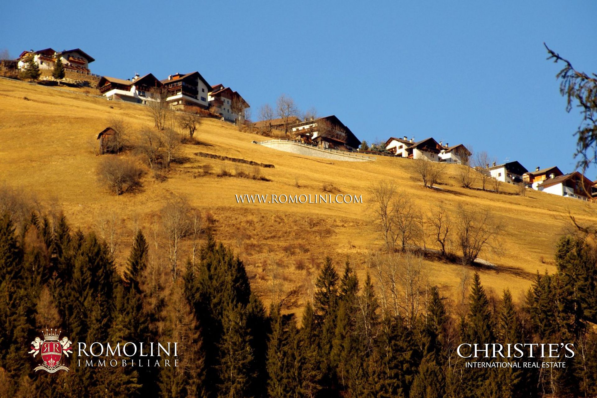 TRENTINO-ALTO ADIGE PROPERTY FOR SALE 