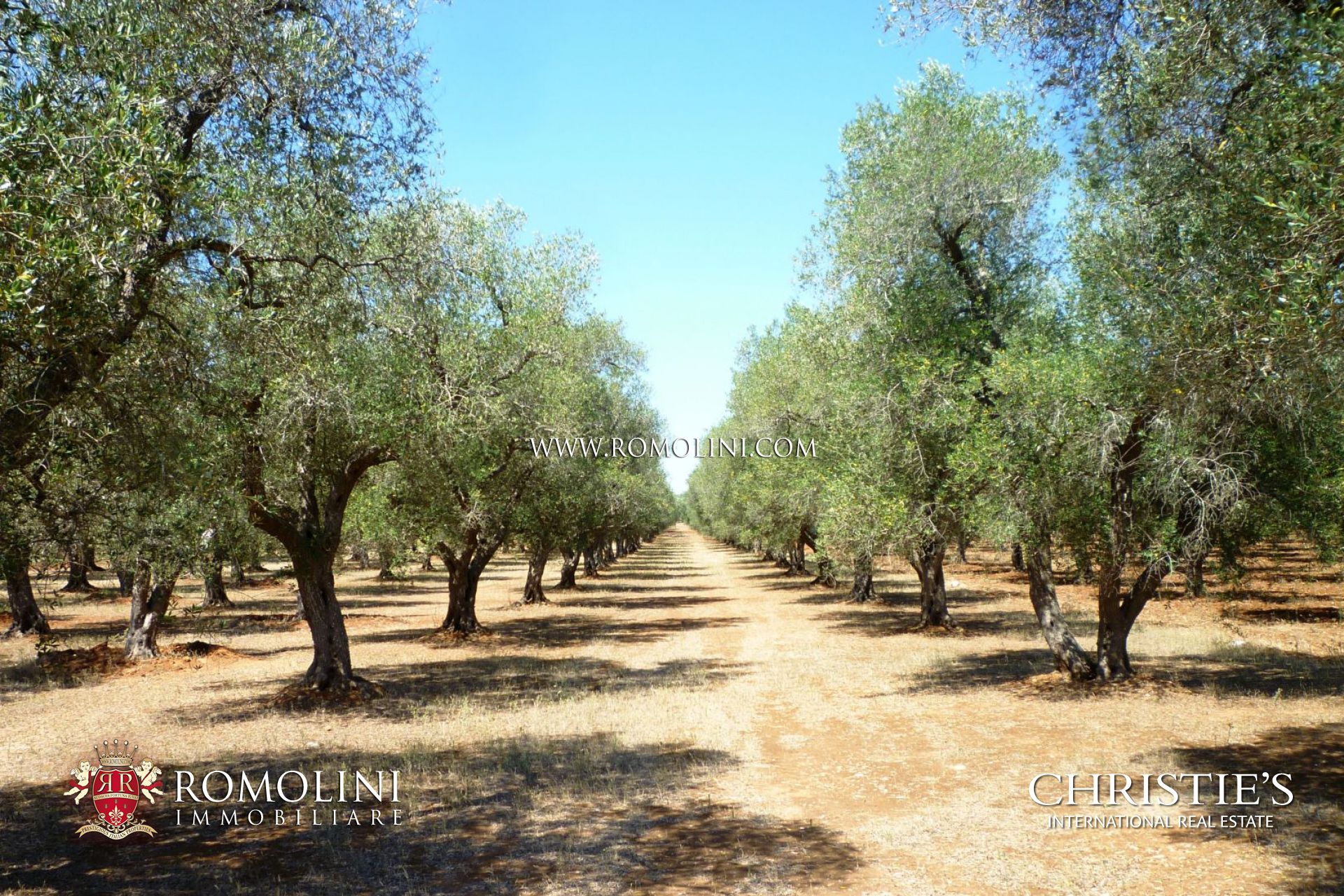 APULIA - LUXURY PROPERTY FOR SALE IN ITALY